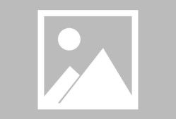 关于Scout迎来五赛季高光表现，TES球迷沸腾！的信息